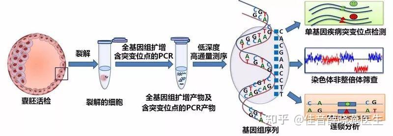 2024年合肥省人民供卵试管包生男孩婴儿成功率一览（附更新试管费用及成功率）